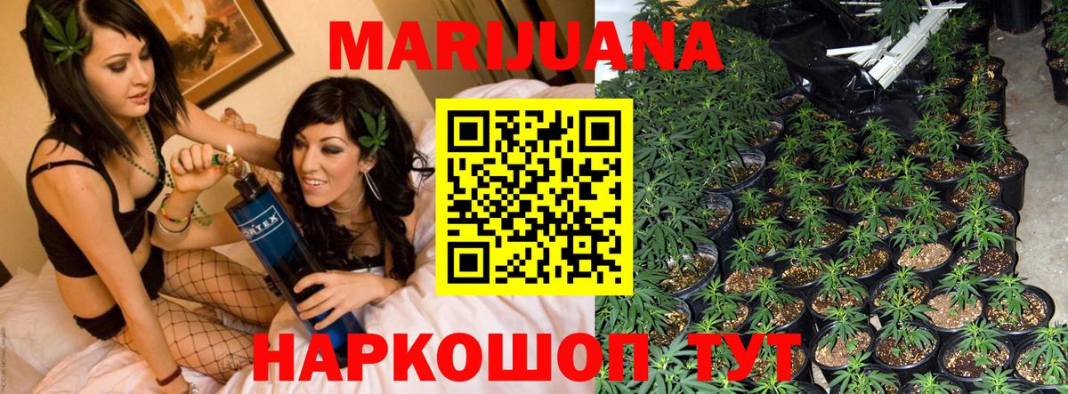 Бошки Шишки гибрид Златоуст